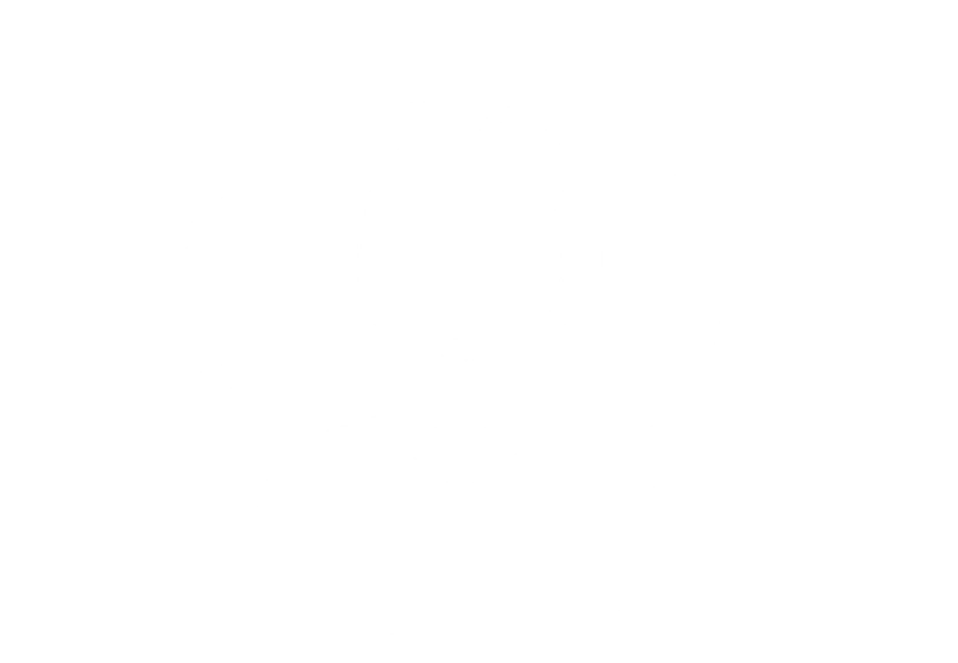 Communication and support — regular updates and client assistance throughout the project